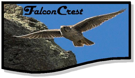 crest falcon subdivision